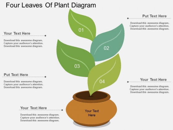 Four Leaves Of Plant Diagram Powerpoint Template Four Leaves Of Plant Diagram Powerpoint Template