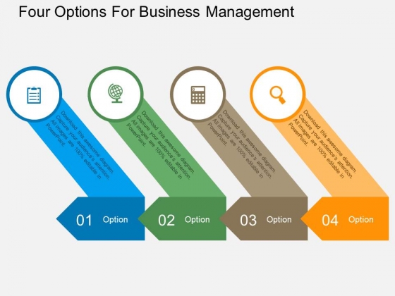 Four Options For Business Management Powerpoint Template