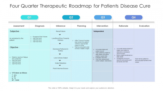 Four Quarter Therapeutic Roadmap For Patients Disease Cure Portrait