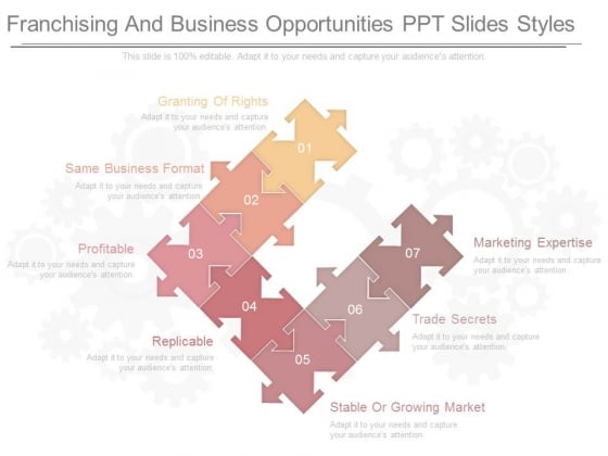 Franchising And Business Opportunities Ppt Slides Styles