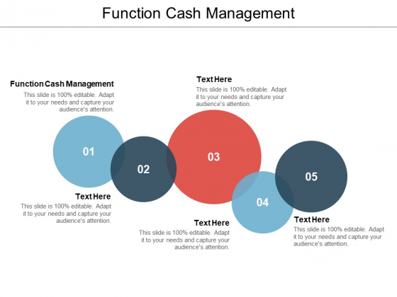 Function Cash Management Ppt PowerPoint Presentation Professional Graphics Download Function Cash Management Ppt PowerPoint Presentation Professional Graphics Download