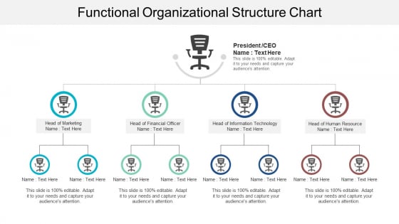 Functional Organizational Structure Chart Ppt PowerPoint Presentation Pictures Diagrams