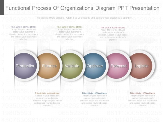 Functional Process Of Organizations Diagram Ppt Presentation Functional Process Of Organizations Diagram Ppt Presentation