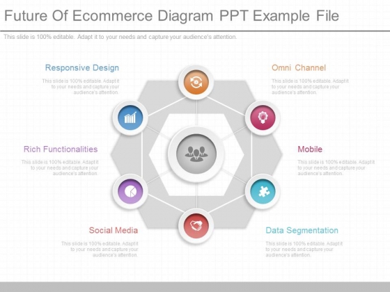 Future Of Ecommerce Diagram Ppt Example File