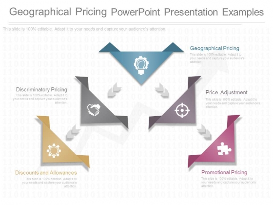 Geographical Pricing Powerpoint Presentation Examples