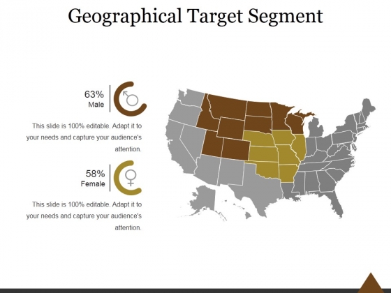 Geographical Target Segment Ppt PowerPoint Presentation Inspiration