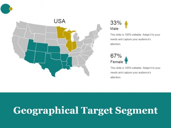 Geographical Target Segment Ppt PowerPoint Presentation Show