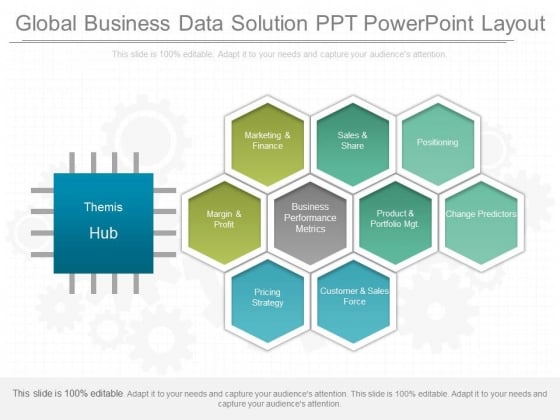 Global Business Data Solution Ppt Powerpoint Layout