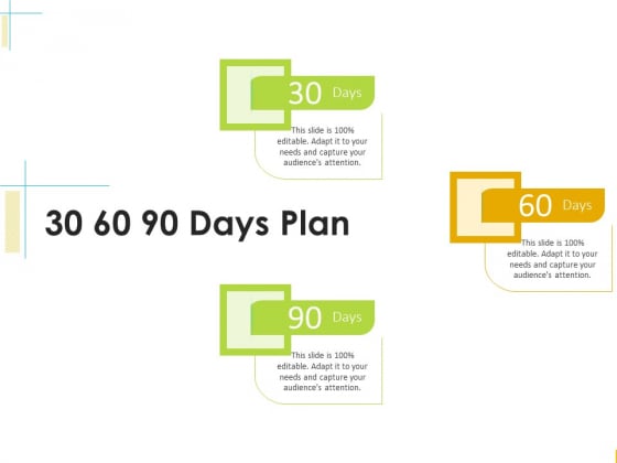 Global Organization Marketing Strategy Development 30 60 90 Days Plan Structure PDF