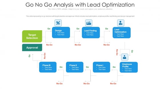 Go No Go Analysis With Lead Optimization Ppt Professional Structure PDF