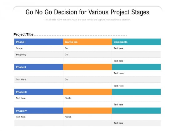 Go No Go Decision For Various Project Stages Ppt PowerPoint Presentation Gallery Format PDF