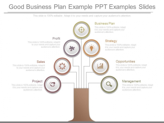good business plan example ppt examples slides powerpoint templates