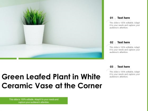 Green Leafed Plant In White Ceramic Vase At The Corner Ppt PowerPoint Presentation Icon Format Ideas PDF Green Leafed Plant In White Ceramic Vase At The Corner Ppt PowerPoint Presentation Icon Format Ideas PDF