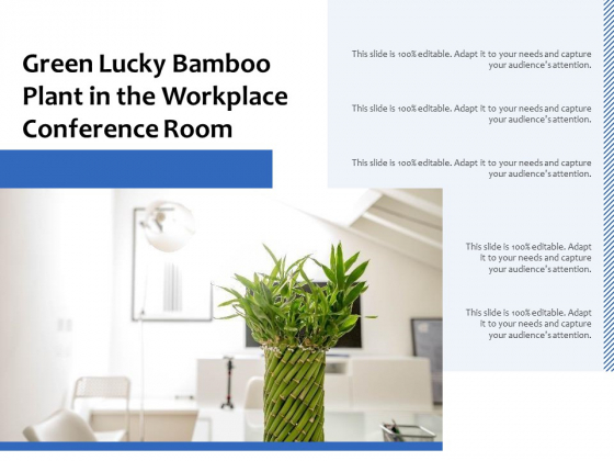 Green Lucky Bamboo Plant In The Workplace Conference Room Ppt PowerPoint Presentation Pictures Background Designs PDF Green Lucky Bamboo Plant In The Workplace Conference Room Ppt PowerPoint Presentation Pictures Background Designs PDF