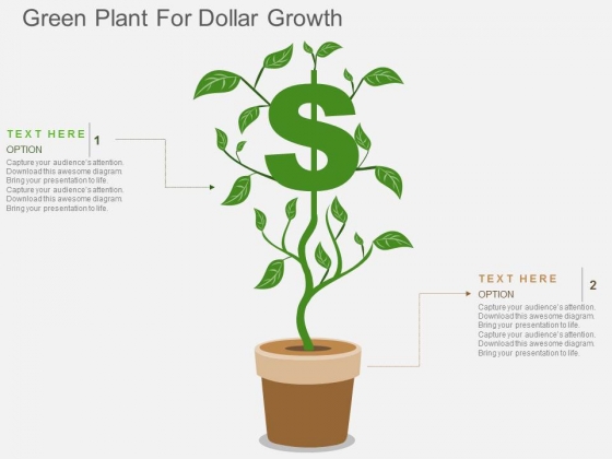 Green Plant For Dollar Growth Powerpoint Templates