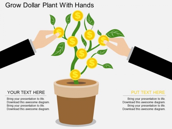 Grow Dollar Plant With Hands Powerpoint Template Grow Dollar Plant With Hands Powerpoint Template