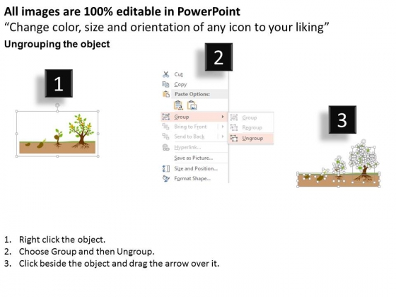 Grow Seeds And Plants For Growth Powerpoint Template pre designed image