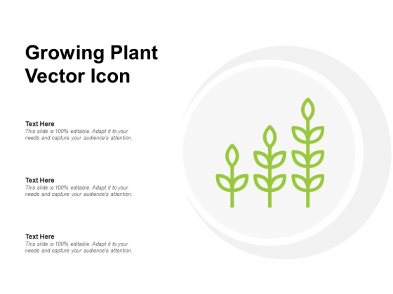 Growing Plant Vector Icon Ppt PowerPoint Presentation Outline Icon