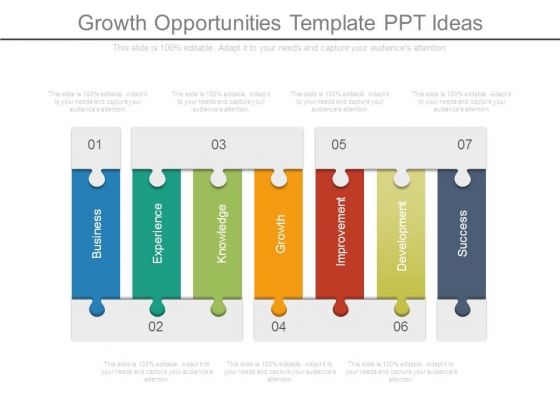 Growth Opportunities Template Ppt Ideas