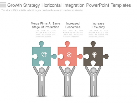 Growth Strategy Horizontal Integration Powerpoint Templates