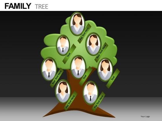 Genealogy PowerPoint Templates Genealogy PowerPoint Templates