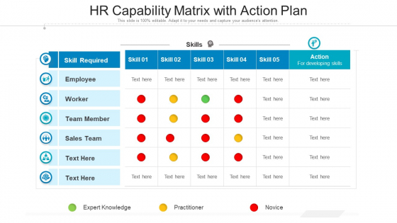 HR Capability Matrix With Action Plan Ppt Show Graphic Tips PDF HR Capability Matrix With Action Plan Ppt Show Graphic Tips PDF