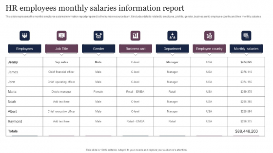HR Employees Monthly Salaries Information Report Elements PDF