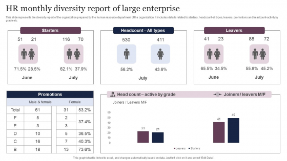 HR Monthly Diversity Report Of Large Enterprise Microsoft PDF