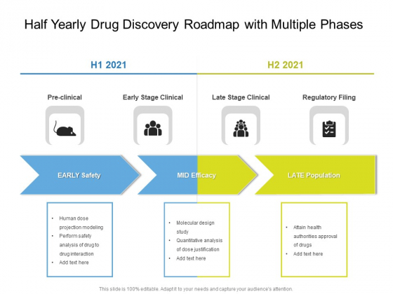 Half Yearly Drug Discovery Roadmap With Multiple Phases Introduction