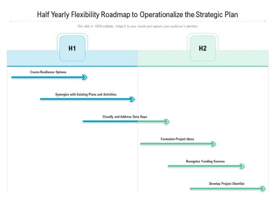 Half Yearly Flexibility Roadmap To Operationalize The Strategic Plan Background Half Yearly Flexibility Roadmap To Operationalize The Strategic Plan Background