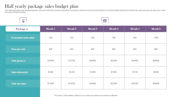 Half Yearly Package Sales Budget Plan Infographics PDF