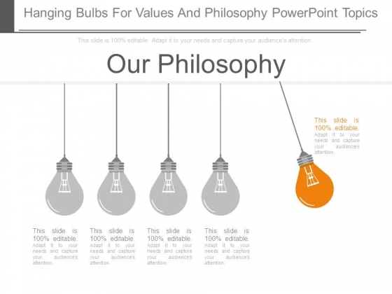 Hanging Bulbs For Values And Philosophy Powerpoint Topics Hanging Bulbs For Values And Philosophy Powerpoint Topics