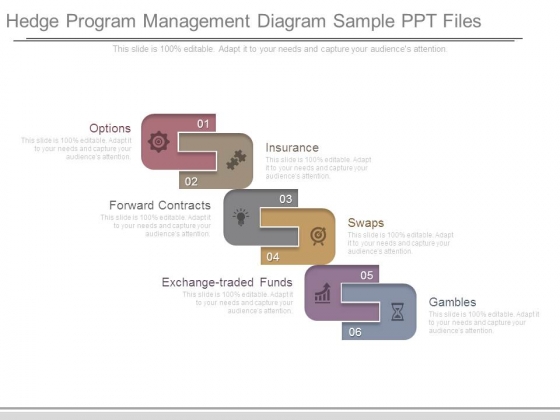 Hedge Program Management Diagram Sample Ppt Files