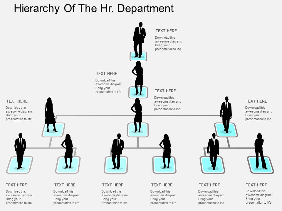 Hierarchy Of The Hr Department Powerpoint Templates
