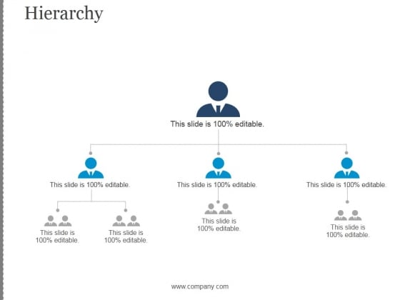 Hierarchy Ppt PowerPoint Presentation Portfolio Hierarchy Ppt PowerPoint Presentation Portfolio
