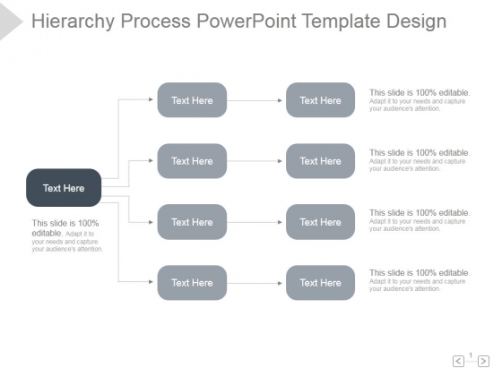 Hierarchy Process Ppt PowerPoint Presentation Gallery Hierarchy Process Ppt PowerPoint Presentation Gallery