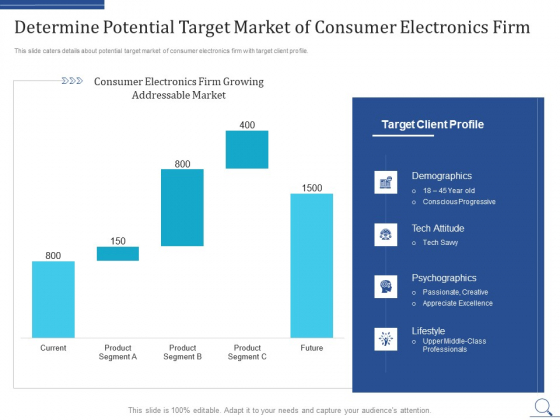 Home_Appliances_Producer_Seed_Determine_Potential_Target_Market_Of_Consumer_Electronics_Firm_Summary_PDF_Slide_1