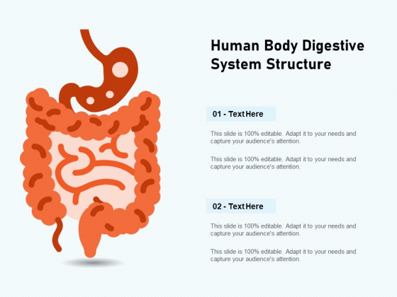 Human Body Digestive System Structure Ppt PowerPoint Presentation Icon Slide PDF