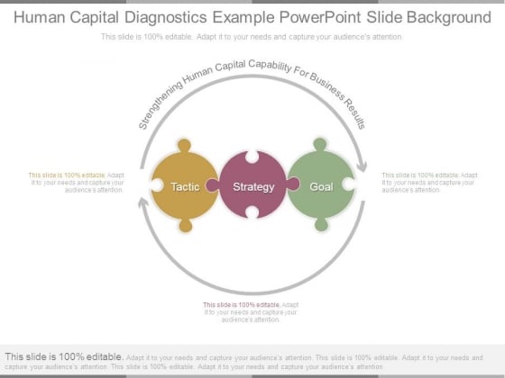 Human Capital Diagnostics Example Powerpoint Slide Background Human Capital Diagnostics Example Powerpoint Slide Background