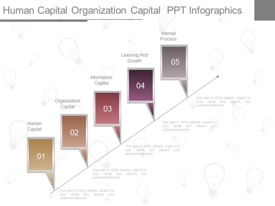 Human Capital Organization Capital Ppt Infographics Human Capital Organization Capital Ppt Infographics