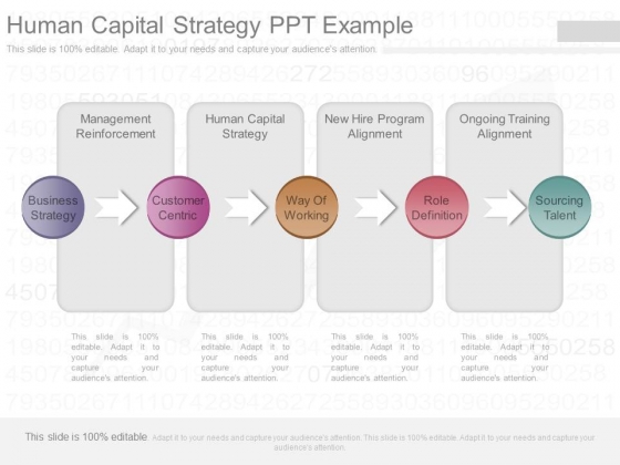 Human Capital Strategy Ppt Example