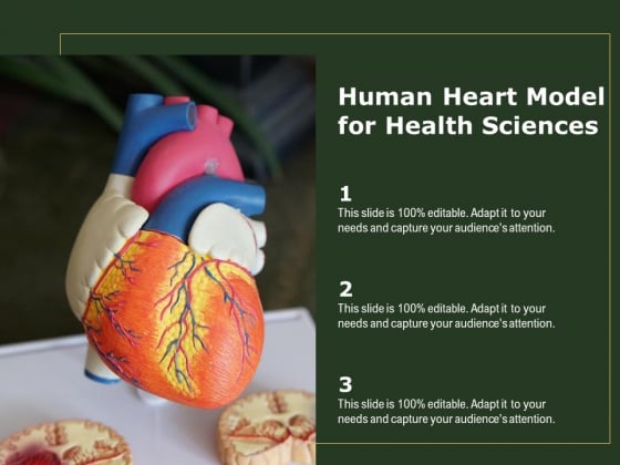 Human Heart Model For Health Sciences Ppt PowerPoint Presentation Portfolio Images PDF