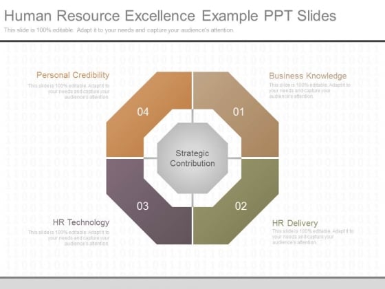 Human Resource Excellence Example Ppt Slides