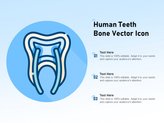 Human Teeth Bone Vector Icon Ppt PowerPoint Presentation Gallery Format PDF