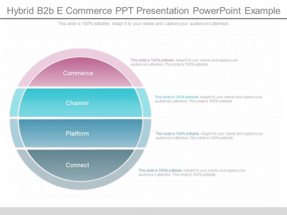Hybrid B2b E Commerce Ppt Presentation Powerpoint Example Hybrid B2b E Commerce Ppt Presentation Powerpoint Example