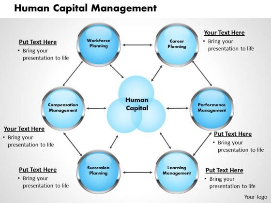 Human Capital Management Business PowerPoint Presentation