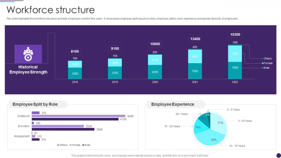 IT Services Business Profile Workforce Structure Structure PDF