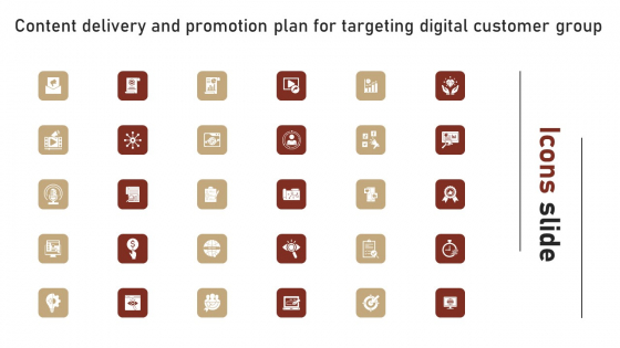 Icons Slide Content Delivery And Promotion Plan For Targeting Digital Customer Group Information PDF