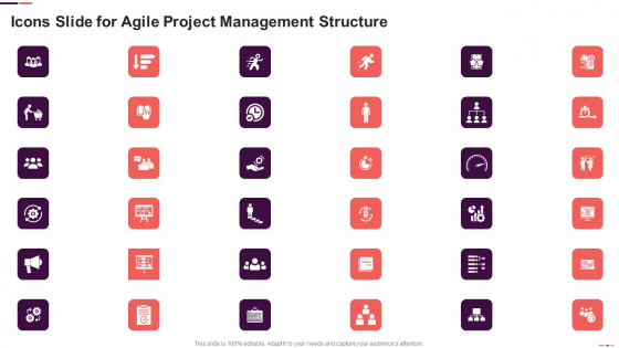 Icons Slide For Agile Project Management Structure Agile Project Management Structure Structure PDF