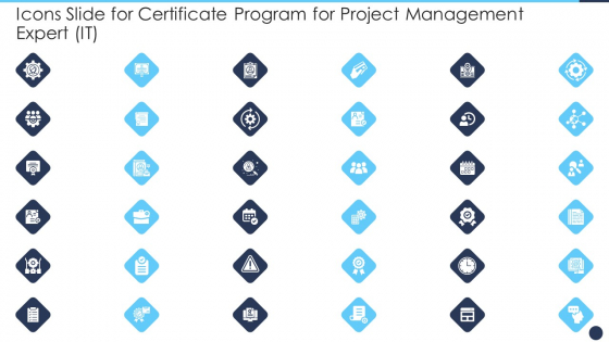 Icons Slide For Certificate Program For Project Management Expert IT Topics PDF Icons Slide For Certificate Program For Project Management Expert IT Topics PDF